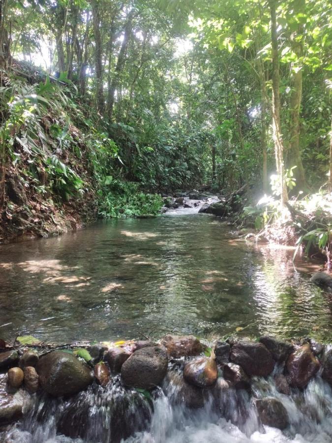 La Fortuna Natural Green Eksteriør bilde