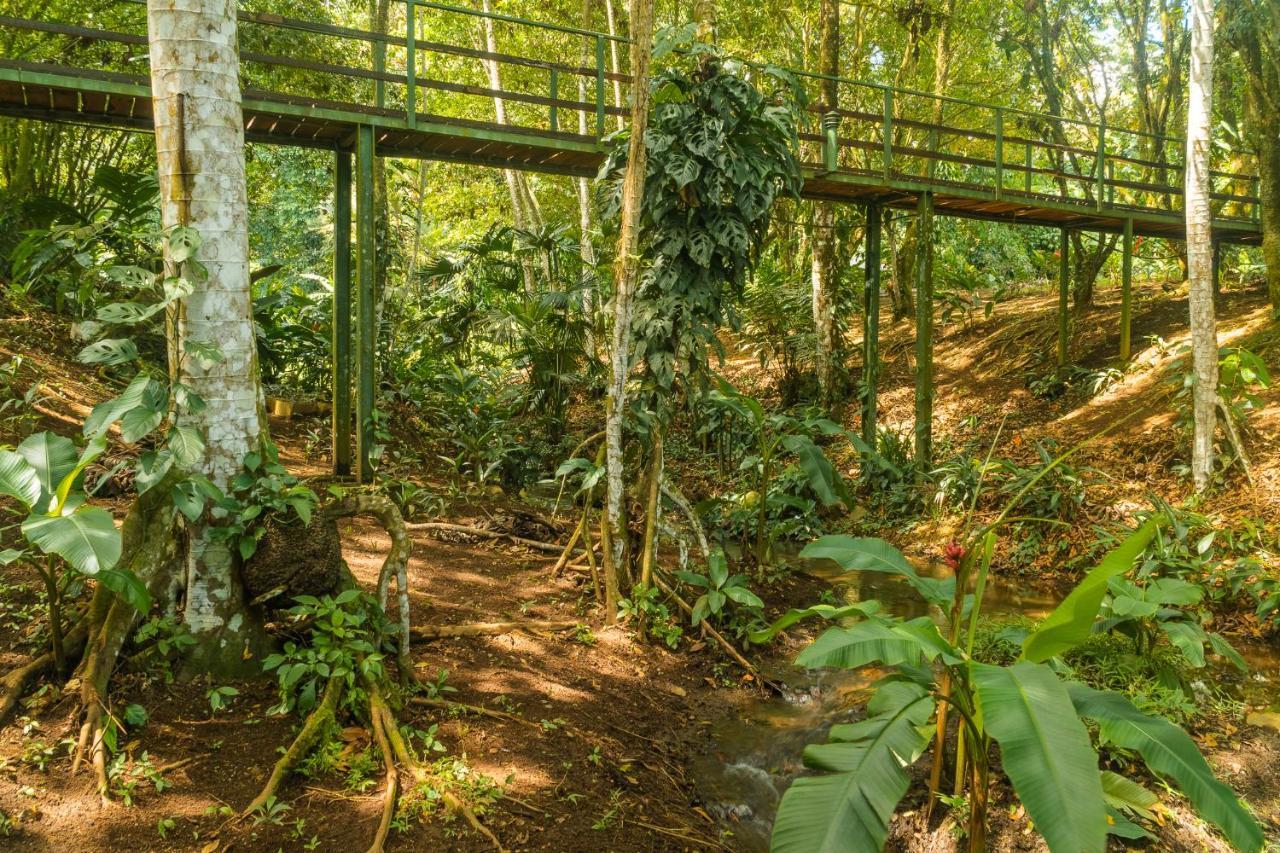 La Fortuna Natural Green Eksteriør bilde