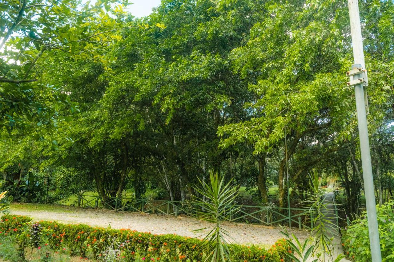 La Fortuna Natural Green Eksteriør bilde